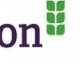 Logo image of Moulton College